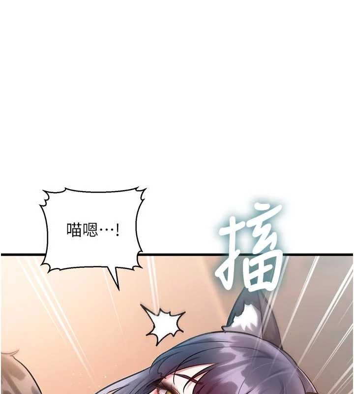 特色新视界第17話-馴服野貓守則