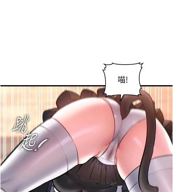 特色新视界第17話-馴服野貓守則