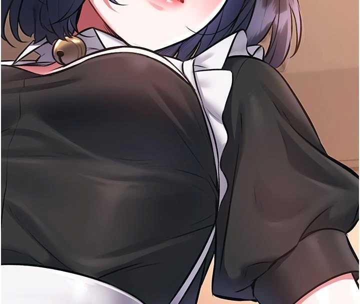 特色新视界第17話-馴服野貓守則