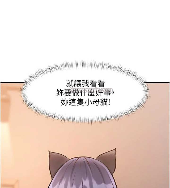 特色新视界第17話-馴服野貓守則