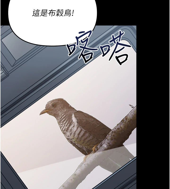 幼惑第1话-长不大的小飞侠