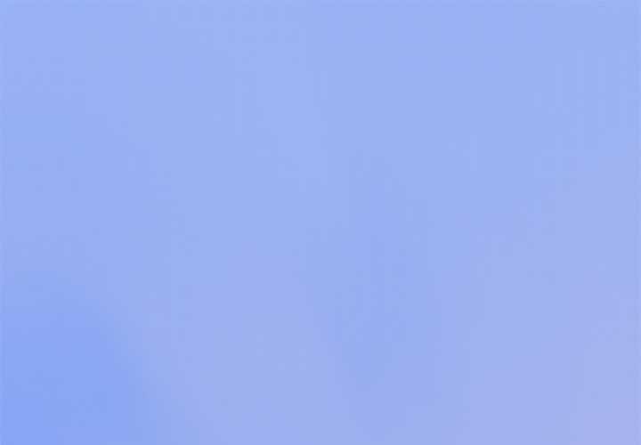 公主殿下要收种子啦！第12話