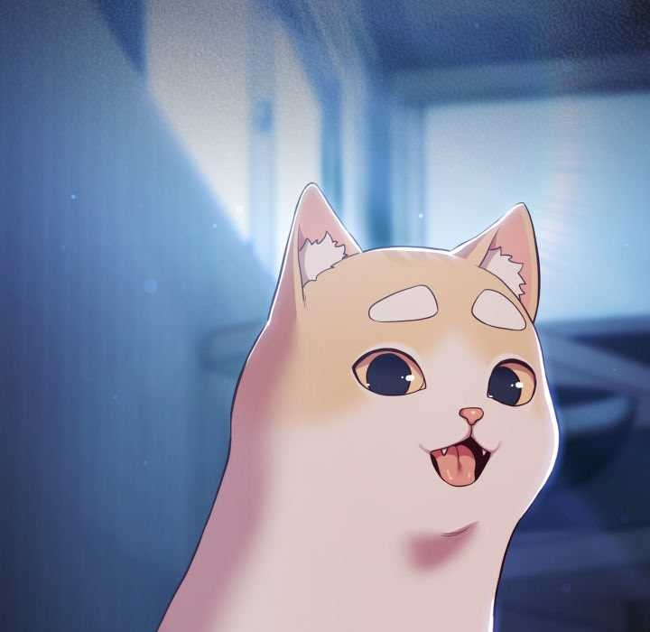 喵来的恋爱第49話