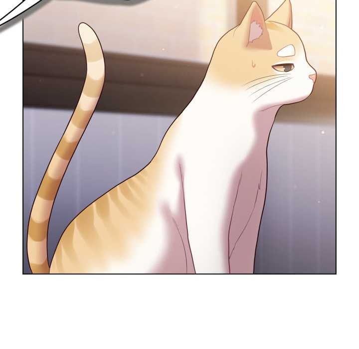 喵来的恋爱第49話