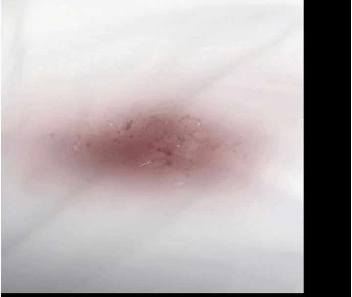 守护妳第13話-檢察官出身的高級妓女