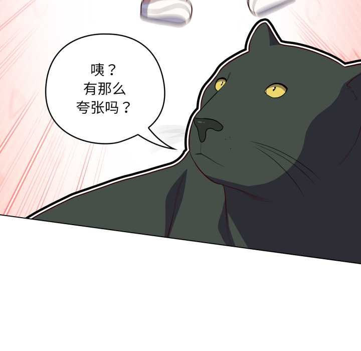 喵来的恋爱第50話