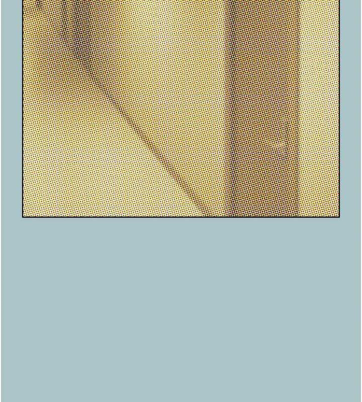 不要恋爱要打炮第25話-得不到的女人