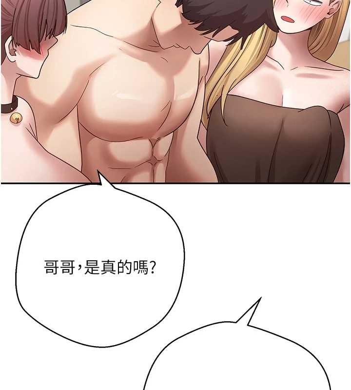 币转人生第54話-三隻淫亂的母貓