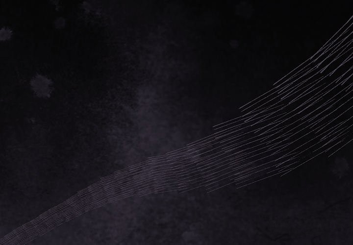 男人稀缺的异世界第22話