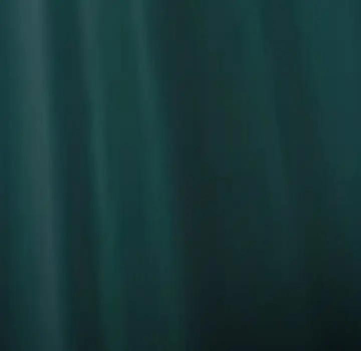 黑幫千金養成記第17話