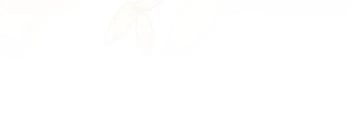 下班后的例行恋爱第115話