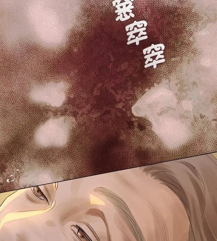契约的代价第45話